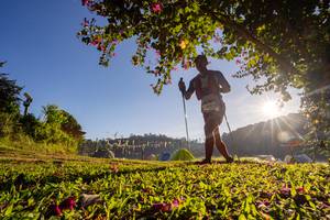 BIB: 
                            <button type="button" onclick="openModal(19376890)" class="btn btn-primary btn-sm float-right btn-popup" data-toggle="modal" data-target=".modal-high-quality">
                        <i class="fas fa-shopping-cart"></i> Add to Cart
                    </button>
                                            <button type="button" onclick="isThisMe(19376890, true)" class="btn btn-success btn-sm float-right btn-popup btn-isme hidden" data-toggle="tooltip" data-placement="bottom" title="นี่คือรูปของคุณใช่ไหม คลิกที่นี่เพื่อเอาเข้าอัลบั้ม">
                        <i class="fas fa-plus"></i> Add to album
                    </button>
                    <button type="button" onclick="isThisMe(19376890, false)" class="btn btn-warning btn-sm float-right btn-popup btn-isnotme hidden">
                        <i class="fas fa-ban"></i> Remove from album
                    </button>