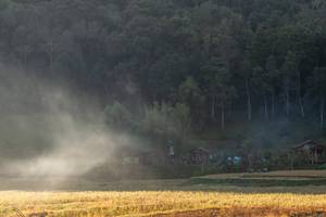 BIB: 
                            <button type="button" onclick="openModal(19376205)" class="btn btn-primary btn-sm float-right btn-popup" data-toggle="modal" data-target=".modal-high-quality">
                        <i class="fas fa-shopping-cart"></i> Add to Cart
                    </button>
                                            <button type="button" onclick="isThisMe(19376205, true)" class="btn btn-success btn-sm float-right btn-popup btn-isme hidden" data-toggle="tooltip" data-placement="bottom" title="นี่คือรูปของคุณใช่ไหม คลิกที่นี่เพื่อเอาเข้าอัลบั้ม">
                        <i class="fas fa-plus"></i> Add to album
                    </button>
                    <button type="button" onclick="isThisMe(19376205, false)" class="btn btn-warning btn-sm float-right btn-popup btn-isnotme hidden">
                        <i class="fas fa-ban"></i> Remove from album
                    </button>