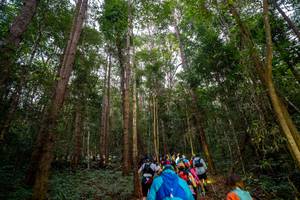 BIB: 
                            <button type="button" onclick="openModal(19376830)" class="btn btn-primary btn-sm float-right btn-popup" data-toggle="modal" data-target=".modal-high-quality">
                        <i class="fas fa-shopping-cart"></i> Add to Cart
                    </button>
                                            <button type="button" onclick="isThisMe(19376830, true)" class="btn btn-success btn-sm float-right btn-popup btn-isme hidden" data-toggle="tooltip" data-placement="bottom" title="นี่คือรูปของคุณใช่ไหม คลิกที่นี่เพื่อเอาเข้าอัลบั้ม">
                        <i class="fas fa-plus"></i> Add to album
                    </button>
                    <button type="button" onclick="isThisMe(19376830, false)" class="btn btn-warning btn-sm float-right btn-popup btn-isnotme hidden">
                        <i class="fas fa-ban"></i> Remove from album
                    </button>