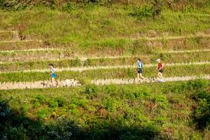 BIB: 
                            <button type="button" onclick="openModal(19376350)" class="btn btn-primary btn-sm float-right btn-popup" data-toggle="modal" data-target=".modal-high-quality">
                        <i class="fas fa-shopping-cart"></i> Add to Cart
                    </button>
                                            <button type="button" onclick="isThisMe(19376350, true)" class="btn btn-success btn-sm float-right btn-popup btn-isme hidden" data-toggle="tooltip" data-placement="bottom" title="นี่คือรูปของคุณใช่ไหม คลิกที่นี่เพื่อเอาเข้าอัลบั้ม">
                        <i class="fas fa-plus"></i> Add to album
                    </button>
                    <button type="button" onclick="isThisMe(19376350, false)" class="btn btn-warning btn-sm float-right btn-popup btn-isnotme hidden">
                        <i class="fas fa-ban"></i> Remove from album
                    </button>