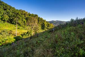 BIB: 
                            <button type="button" onclick="openModal(19377081)" class="btn btn-primary btn-sm float-right btn-popup" data-toggle="modal" data-target=".modal-high-quality">
                        <i class="fas fa-shopping-cart"></i> Add to Cart
                    </button>
                                            <button type="button" onclick="isThisMe(19377081, true)" class="btn btn-success btn-sm float-right btn-popup btn-isme hidden" data-toggle="tooltip" data-placement="bottom" title="นี่คือรูปของคุณใช่ไหม คลิกที่นี่เพื่อเอาเข้าอัลบั้ม">
                        <i class="fas fa-plus"></i> Add to album
                    </button>
                    <button type="button" onclick="isThisMe(19377081, false)" class="btn btn-warning btn-sm float-right btn-popup btn-isnotme hidden">
                        <i class="fas fa-ban"></i> Remove from album
                    </button>