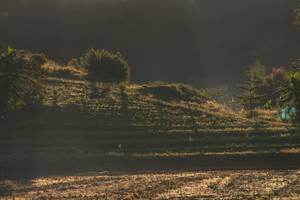 BIB: 
                            <button type="button" onclick="openModal(19376171)" class="btn btn-primary btn-sm float-right btn-popup" data-toggle="modal" data-target=".modal-high-quality">
                        <i class="fas fa-shopping-cart"></i> Add to Cart
                    </button>
                                            <button type="button" onclick="isThisMe(19376171, true)" class="btn btn-success btn-sm float-right btn-popup btn-isme hidden" data-toggle="tooltip" data-placement="bottom" title="นี่คือรูปของคุณใช่ไหม คลิกที่นี่เพื่อเอาเข้าอัลบั้ม">
                        <i class="fas fa-plus"></i> Add to album
                    </button>
                    <button type="button" onclick="isThisMe(19376171, false)" class="btn btn-warning btn-sm float-right btn-popup btn-isnotme hidden">
                        <i class="fas fa-ban"></i> Remove from album
                    </button>