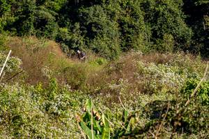 BIB: 
                            <button type="button" onclick="openModal(19376342)" class="btn btn-primary btn-sm float-right btn-popup" data-toggle="modal" data-target=".modal-high-quality">
                        <i class="fas fa-shopping-cart"></i> Add to Cart
                    </button>
                                            <button type="button" onclick="isThisMe(19376342, true)" class="btn btn-success btn-sm float-right btn-popup btn-isme hidden" data-toggle="tooltip" data-placement="bottom" title="นี่คือรูปของคุณใช่ไหม คลิกที่นี่เพื่อเอาเข้าอัลบั้ม">
                        <i class="fas fa-plus"></i> Add to album
                    </button>
                    <button type="button" onclick="isThisMe(19376342, false)" class="btn btn-warning btn-sm float-right btn-popup btn-isnotme hidden">
                        <i class="fas fa-ban"></i> Remove from album
                    </button>