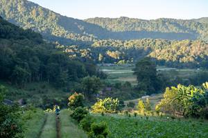 BIB: 
                            <button type="button" onclick="openModal(19376150)" class="btn btn-primary btn-sm float-right btn-popup" data-toggle="modal" data-target=".modal-high-quality">
                        <i class="fas fa-shopping-cart"></i> Add to Cart
                    </button>
                                            <button type="button" onclick="isThisMe(19376150, true)" class="btn btn-success btn-sm float-right btn-popup btn-isme hidden" data-toggle="tooltip" data-placement="bottom" title="นี่คือรูปของคุณใช่ไหม คลิกที่นี่เพื่อเอาเข้าอัลบั้ม">
                        <i class="fas fa-plus"></i> Add to album
                    </button>
                    <button type="button" onclick="isThisMe(19376150, false)" class="btn btn-warning btn-sm float-right btn-popup btn-isnotme hidden">
                        <i class="fas fa-ban"></i> Remove from album
                    </button>