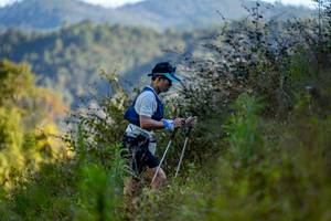 BIB: 
                            <button type="button" onclick="openModal(19376370)" class="btn btn-primary btn-sm float-right btn-popup" data-toggle="modal" data-target=".modal-high-quality">
                        <i class="fas fa-shopping-cart"></i> Add to Cart
                    </button>
                                            <button type="button" onclick="isThisMe(19376370, true)" class="btn btn-success btn-sm float-right btn-popup btn-isme hidden" data-toggle="tooltip" data-placement="bottom" title="นี่คือรูปของคุณใช่ไหม คลิกที่นี่เพื่อเอาเข้าอัลบั้ม">
                        <i class="fas fa-plus"></i> Add to album
                    </button>
                    <button type="button" onclick="isThisMe(19376370, false)" class="btn btn-warning btn-sm float-right btn-popup btn-isnotme hidden">
                        <i class="fas fa-ban"></i> Remove from album
                    </button>