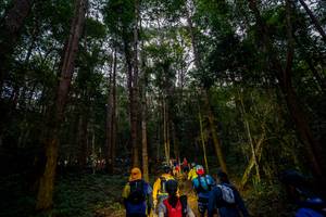 BIB: 
                            <button type="button" onclick="openModal(19376825)" class="btn btn-primary btn-sm float-right btn-popup" data-toggle="modal" data-target=".modal-high-quality">
                        <i class="fas fa-shopping-cart"></i> Add to Cart
                    </button>
                                            <button type="button" onclick="isThisMe(19376825, true)" class="btn btn-success btn-sm float-right btn-popup btn-isme hidden" data-toggle="tooltip" data-placement="bottom" title="นี่คือรูปของคุณใช่ไหม คลิกที่นี่เพื่อเอาเข้าอัลบั้ม">
                        <i class="fas fa-plus"></i> Add to album
                    </button>
                    <button type="button" onclick="isThisMe(19376825, false)" class="btn btn-warning btn-sm float-right btn-popup btn-isnotme hidden">
                        <i class="fas fa-ban"></i> Remove from album
                    </button>