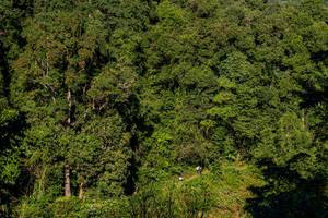 BIB: 
                            <button type="button" onclick="openModal(19376306)" class="btn btn-primary btn-sm float-right btn-popup" data-toggle="modal" data-target=".modal-high-quality">
                        <i class="fas fa-shopping-cart"></i> Add to Cart
                    </button>
                                            <button type="button" onclick="isThisMe(19376306, true)" class="btn btn-success btn-sm float-right btn-popup btn-isme hidden" data-toggle="tooltip" data-placement="bottom" title="นี่คือรูปของคุณใช่ไหม คลิกที่นี่เพื่อเอาเข้าอัลบั้ม">
                        <i class="fas fa-plus"></i> Add to album
                    </button>
                    <button type="button" onclick="isThisMe(19376306, false)" class="btn btn-warning btn-sm float-right btn-popup btn-isnotme hidden">
                        <i class="fas fa-ban"></i> Remove from album
                    </button>