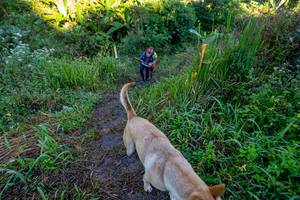 BIB: 
                            <button type="button" onclick="openModal(19377047)" class="btn btn-primary btn-sm float-right btn-popup" data-toggle="modal" data-target=".modal-high-quality">
                        <i class="fas fa-shopping-cart"></i> Add to Cart
                    </button>
                                            <button type="button" onclick="isThisMe(19377047, true)" class="btn btn-success btn-sm float-right btn-popup btn-isme hidden" data-toggle="tooltip" data-placement="bottom" title="นี่คือรูปของคุณใช่ไหม คลิกที่นี่เพื่อเอาเข้าอัลบั้ม">
                        <i class="fas fa-plus"></i> Add to album
                    </button>
                    <button type="button" onclick="isThisMe(19377047, false)" class="btn btn-warning btn-sm float-right btn-popup btn-isnotme hidden">
                        <i class="fas fa-ban"></i> Remove from album
                    </button>