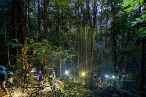 BIB: 
                            <button type="button" onclick="openModal(19376820)" class="btn btn-primary btn-sm float-right btn-popup" data-toggle="modal" data-target=".modal-high-quality">
                        <i class="fas fa-shopping-cart"></i> Add to Cart
                    </button>
                                            <button type="button" onclick="isThisMe(19376820, true)" class="btn btn-success btn-sm float-right btn-popup btn-isme hidden" data-toggle="tooltip" data-placement="bottom" title="นี่คือรูปของคุณใช่ไหม คลิกที่นี่เพื่อเอาเข้าอัลบั้ม">
                        <i class="fas fa-plus"></i> Add to album
                    </button>
                    <button type="button" onclick="isThisMe(19376820, false)" class="btn btn-warning btn-sm float-right btn-popup btn-isnotme hidden">
                        <i class="fas fa-ban"></i> Remove from album
                    </button>