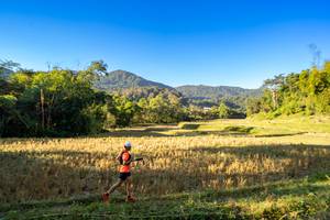 BIB: 
                            <button type="button" onclick="openModal(19376917)" class="btn btn-primary btn-sm float-right btn-popup" data-toggle="modal" data-target=".modal-high-quality">
                        <i class="fas fa-shopping-cart"></i> Add to Cart
                    </button>
                                            <button type="button" onclick="isThisMe(19376917, true)" class="btn btn-success btn-sm float-right btn-popup btn-isme hidden" data-toggle="tooltip" data-placement="bottom" title="นี่คือรูปของคุณใช่ไหม คลิกที่นี่เพื่อเอาเข้าอัลบั้ม">
                        <i class="fas fa-plus"></i> Add to album
                    </button>
                    <button type="button" onclick="isThisMe(19376917, false)" class="btn btn-warning btn-sm float-right btn-popup btn-isnotme hidden">
                        <i class="fas fa-ban"></i> Remove from album
                    </button>