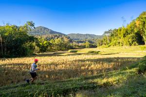 BIB: 
                            <button type="button" onclick="openModal(19376905)" class="btn btn-primary btn-sm float-right btn-popup" data-toggle="modal" data-target=".modal-high-quality">
                        <i class="fas fa-shopping-cart"></i> Add to Cart
                    </button>
                                            <button type="button" onclick="isThisMe(19376905, true)" class="btn btn-success btn-sm float-right btn-popup btn-isme hidden" data-toggle="tooltip" data-placement="bottom" title="นี่คือรูปของคุณใช่ไหม คลิกที่นี่เพื่อเอาเข้าอัลบั้ม">
                        <i class="fas fa-plus"></i> Add to album
                    </button>
                    <button type="button" onclick="isThisMe(19376905, false)" class="btn btn-warning btn-sm float-right btn-popup btn-isnotme hidden">
                        <i class="fas fa-ban"></i> Remove from album
                    </button>