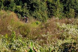 BIB: 
                            <button type="button" onclick="openModal(19376344)" class="btn btn-primary btn-sm float-right btn-popup" data-toggle="modal" data-target=".modal-high-quality">
                        <i class="fas fa-shopping-cart"></i> Add to Cart
                    </button>
                                            <button type="button" onclick="isThisMe(19376344, true)" class="btn btn-success btn-sm float-right btn-popup btn-isme hidden" data-toggle="tooltip" data-placement="bottom" title="นี่คือรูปของคุณใช่ไหม คลิกที่นี่เพื่อเอาเข้าอัลบั้ม">
                        <i class="fas fa-plus"></i> Add to album
                    </button>
                    <button type="button" onclick="isThisMe(19376344, false)" class="btn btn-warning btn-sm float-right btn-popup btn-isnotme hidden">
                        <i class="fas fa-ban"></i> Remove from album
                    </button>