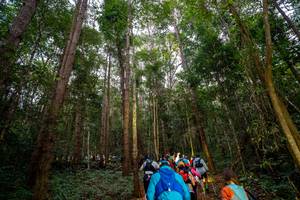 BIB: 
                            <button type="button" onclick="openModal(19376832)" class="btn btn-primary btn-sm float-right btn-popup" data-toggle="modal" data-target=".modal-high-quality">
                        <i class="fas fa-shopping-cart"></i> Add to Cart
                    </button>
                                            <button type="button" onclick="isThisMe(19376832, true)" class="btn btn-success btn-sm float-right btn-popup btn-isme hidden" data-toggle="tooltip" data-placement="bottom" title="นี่คือรูปของคุณใช่ไหม คลิกที่นี่เพื่อเอาเข้าอัลบั้ม">
                        <i class="fas fa-plus"></i> Add to album
                    </button>
                    <button type="button" onclick="isThisMe(19376832, false)" class="btn btn-warning btn-sm float-right btn-popup btn-isnotme hidden">
                        <i class="fas fa-ban"></i> Remove from album
                    </button>