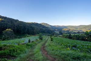 BIB: 
                            <button type="button" onclick="openModal(19376841)" class="btn btn-primary btn-sm float-right btn-popup" data-toggle="modal" data-target=".modal-high-quality">
                        <i class="fas fa-shopping-cart"></i> Add to Cart
                    </button>
                                            <button type="button" onclick="isThisMe(19376841, true)" class="btn btn-success btn-sm float-right btn-popup btn-isme hidden" data-toggle="tooltip" data-placement="bottom" title="นี่คือรูปของคุณใช่ไหม คลิกที่นี่เพื่อเอาเข้าอัลบั้ม">
                        <i class="fas fa-plus"></i> Add to album
                    </button>
                    <button type="button" onclick="isThisMe(19376841, false)" class="btn btn-warning btn-sm float-right btn-popup btn-isnotme hidden">
                        <i class="fas fa-ban"></i> Remove from album
                    </button>