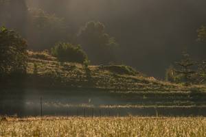 BIB: 
                            <button type="button" onclick="openModal(19376173)" class="btn btn-primary btn-sm float-right btn-popup" data-toggle="modal" data-target=".modal-high-quality">
                        <i class="fas fa-shopping-cart"></i> Add to Cart
                    </button>
                                            <button type="button" onclick="isThisMe(19376173, true)" class="btn btn-success btn-sm float-right btn-popup btn-isme hidden" data-toggle="tooltip" data-placement="bottom" title="นี่คือรูปของคุณใช่ไหม คลิกที่นี่เพื่อเอาเข้าอัลบั้ม">
                        <i class="fas fa-plus"></i> Add to album
                    </button>
                    <button type="button" onclick="isThisMe(19376173, false)" class="btn btn-warning btn-sm float-right btn-popup btn-isnotme hidden">
                        <i class="fas fa-ban"></i> Remove from album
                    </button>