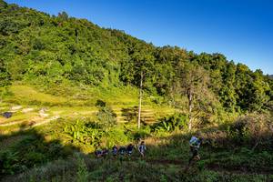 BIB: 
                            <button type="button" onclick="openModal(19377095)" class="btn btn-primary btn-sm float-right btn-popup" data-toggle="modal" data-target=".modal-high-quality">
                        <i class="fas fa-shopping-cart"></i> Add to Cart
                    </button>
                                            <button type="button" onclick="isThisMe(19377095, true)" class="btn btn-success btn-sm float-right btn-popup btn-isme hidden" data-toggle="tooltip" data-placement="bottom" title="นี่คือรูปของคุณใช่ไหม คลิกที่นี่เพื่อเอาเข้าอัลบั้ม">
                        <i class="fas fa-plus"></i> Add to album
                    </button>
                    <button type="button" onclick="isThisMe(19377095, false)" class="btn btn-warning btn-sm float-right btn-popup btn-isnotme hidden">
                        <i class="fas fa-ban"></i> Remove from album
                    </button>