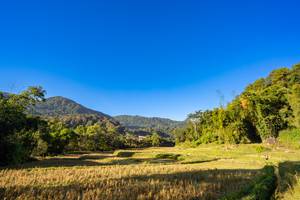 BIB: 
                            <button type="button" onclick="openModal(19376904)" class="btn btn-primary btn-sm float-right btn-popup" data-toggle="modal" data-target=".modal-high-quality">
                        <i class="fas fa-shopping-cart"></i> Add to Cart
                    </button>
                                            <button type="button" onclick="isThisMe(19376904, true)" class="btn btn-success btn-sm float-right btn-popup btn-isme hidden" data-toggle="tooltip" data-placement="bottom" title="นี่คือรูปของคุณใช่ไหม คลิกที่นี่เพื่อเอาเข้าอัลบั้ม">
                        <i class="fas fa-plus"></i> Add to album
                    </button>
                    <button type="button" onclick="isThisMe(19376904, false)" class="btn btn-warning btn-sm float-right btn-popup btn-isnotme hidden">
                        <i class="fas fa-ban"></i> Remove from album
                    </button>