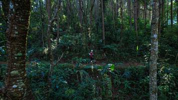 BIB: 
                            <button type="button" onclick="openModal(19372137)" class="btn btn-primary btn-sm float-right btn-popup" data-toggle="modal" data-target=".modal-high-quality">
                        <i class="fas fa-shopping-cart"></i> Add to Cart
                    </button>
                                            <button type="button" onclick="isThisMe(19372137, true)" class="btn btn-success btn-sm float-right btn-popup btn-isme hidden" data-toggle="tooltip" data-placement="bottom" title="นี่คือรูปของคุณใช่ไหม คลิกที่นี่เพื่อเอาเข้าอัลบั้ม">
                        <i class="fas fa-plus"></i> Add to album
                    </button>
                    <button type="button" onclick="isThisMe(19372137, false)" class="btn btn-warning btn-sm float-right btn-popup btn-isnotme hidden">
                        <i class="fas fa-ban"></i> Remove from album
                    </button>