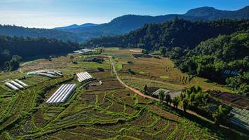 BIB: 
                            <button type="button" onclick="openModal(19372072)" class="btn btn-primary btn-sm float-right btn-popup" data-toggle="modal" data-target=".modal-high-quality">
                        <i class="fas fa-shopping-cart"></i> Add to Cart
                    </button>
                                            <button type="button" onclick="isThisMe(19372072, true)" class="btn btn-success btn-sm float-right btn-popup btn-isme hidden" data-toggle="tooltip" data-placement="bottom" title="นี่คือรูปของคุณใช่ไหม คลิกที่นี่เพื่อเอาเข้าอัลบั้ม">
                        <i class="fas fa-plus"></i> Add to album
                    </button>
                    <button type="button" onclick="isThisMe(19372072, false)" class="btn btn-warning btn-sm float-right btn-popup btn-isnotme hidden">
                        <i class="fas fa-ban"></i> Remove from album
                    </button>