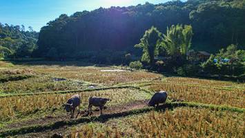 BIB: 
                            <button type="button" onclick="openModal(19372114)" class="btn btn-primary btn-sm float-right btn-popup" data-toggle="modal" data-target=".modal-high-quality">
                        <i class="fas fa-shopping-cart"></i> Add to Cart
                    </button>
                                            <button type="button" onclick="isThisMe(19372114, true)" class="btn btn-success btn-sm float-right btn-popup btn-isme hidden" data-toggle="tooltip" data-placement="bottom" title="นี่คือรูปของคุณใช่ไหม คลิกที่นี่เพื่อเอาเข้าอัลบั้ม">
                        <i class="fas fa-plus"></i> Add to album
                    </button>
                    <button type="button" onclick="isThisMe(19372114, false)" class="btn btn-warning btn-sm float-right btn-popup btn-isnotme hidden">
                        <i class="fas fa-ban"></i> Remove from album
                    </button>