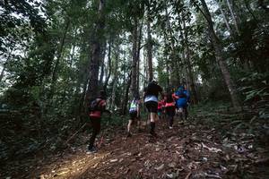 BIB: 
                            <button type="button" onclick="openModal(19371944)" class="btn btn-primary btn-sm float-right btn-popup" data-toggle="modal" data-target=".modal-high-quality">
                        <i class="fas fa-shopping-cart"></i> Add to Cart
                    </button>
                                            <button type="button" onclick="isThisMe(19371944, true)" class="btn btn-success btn-sm float-right btn-popup btn-isme hidden" data-toggle="tooltip" data-placement="bottom" title="นี่คือรูปของคุณใช่ไหม คลิกที่นี่เพื่อเอาเข้าอัลบั้ม">
                        <i class="fas fa-plus"></i> Add to album
                    </button>
                    <button type="button" onclick="isThisMe(19371944, false)" class="btn btn-warning btn-sm float-right btn-popup btn-isnotme hidden">
                        <i class="fas fa-ban"></i> Remove from album
                    </button>