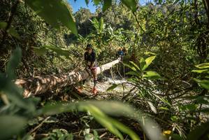 BIB: 
                            <button type="button" onclick="openModal(19372033)" class="btn btn-primary btn-sm float-right btn-popup" data-toggle="modal" data-target=".modal-high-quality">
                        <i class="fas fa-shopping-cart"></i> Add to Cart
                    </button>
                                            <button type="button" onclick="isThisMe(19372033, true)" class="btn btn-success btn-sm float-right btn-popup btn-isme hidden" data-toggle="tooltip" data-placement="bottom" title="นี่คือรูปของคุณใช่ไหม คลิกที่นี่เพื่อเอาเข้าอัลบั้ม">
                        <i class="fas fa-plus"></i> Add to album
                    </button>
                    <button type="button" onclick="isThisMe(19372033, false)" class="btn btn-warning btn-sm float-right btn-popup btn-isnotme hidden">
                        <i class="fas fa-ban"></i> Remove from album
                    </button>