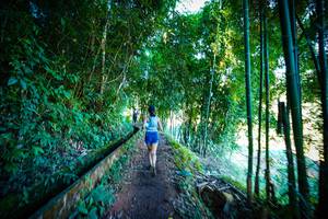 BIB: 
                            <button type="button" onclick="openModal(19372188)" class="btn btn-primary btn-sm float-right btn-popup" data-toggle="modal" data-target=".modal-high-quality">
                        <i class="fas fa-shopping-cart"></i> Add to Cart
                    </button>
                                            <button type="button" onclick="isThisMe(19372188, true)" class="btn btn-success btn-sm float-right btn-popup btn-isme hidden" data-toggle="tooltip" data-placement="bottom" title="นี่คือรูปของคุณใช่ไหม คลิกที่นี่เพื่อเอาเข้าอัลบั้ม">
                        <i class="fas fa-plus"></i> Add to album
                    </button>
                    <button type="button" onclick="isThisMe(19372188, false)" class="btn btn-warning btn-sm float-right btn-popup btn-isnotme hidden">
                        <i class="fas fa-ban"></i> Remove from album
                    </button>