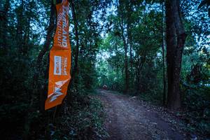 BIB: 
                            <button type="button" onclick="openModal(19372171)" class="btn btn-primary btn-sm float-right btn-popup" data-toggle="modal" data-target=".modal-high-quality">
                        <i class="fas fa-shopping-cart"></i> Add to Cart
                    </button>
                                            <button type="button" onclick="isThisMe(19372171, true)" class="btn btn-success btn-sm float-right btn-popup btn-isme hidden" data-toggle="tooltip" data-placement="bottom" title="นี่คือรูปของคุณใช่ไหม คลิกที่นี่เพื่อเอาเข้าอัลบั้ม">
                        <i class="fas fa-plus"></i> Add to album
                    </button>
                    <button type="button" onclick="isThisMe(19372171, false)" class="btn btn-warning btn-sm float-right btn-popup btn-isnotme hidden">
                        <i class="fas fa-ban"></i> Remove from album
                    </button>