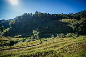 BIB: 
                            <button type="button" onclick="openModal(19372214)" class="btn btn-primary btn-sm float-right btn-popup" data-toggle="modal" data-target=".modal-high-quality">
                        <i class="fas fa-shopping-cart"></i> Add to Cart
                    </button>
                                            <button type="button" onclick="isThisMe(19372214, true)" class="btn btn-success btn-sm float-right btn-popup btn-isme hidden" data-toggle="tooltip" data-placement="bottom" title="นี่คือรูปของคุณใช่ไหม คลิกที่นี่เพื่อเอาเข้าอัลบั้ม">
                        <i class="fas fa-plus"></i> Add to album
                    </button>
                    <button type="button" onclick="isThisMe(19372214, false)" class="btn btn-warning btn-sm float-right btn-popup btn-isnotme hidden">
                        <i class="fas fa-ban"></i> Remove from album
                    </button>