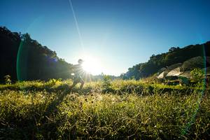 BIB: 
                            <button type="button" onclick="openModal(19372181)" class="btn btn-primary btn-sm float-right btn-popup" data-toggle="modal" data-target=".modal-high-quality">
                        <i class="fas fa-shopping-cart"></i> Add to Cart
                    </button>
                                            <button type="button" onclick="isThisMe(19372181, true)" class="btn btn-success btn-sm float-right btn-popup btn-isme hidden" data-toggle="tooltip" data-placement="bottom" title="นี่คือรูปของคุณใช่ไหม คลิกที่นี่เพื่อเอาเข้าอัลบั้ม">
                        <i class="fas fa-plus"></i> Add to album
                    </button>
                    <button type="button" onclick="isThisMe(19372181, false)" class="btn btn-warning btn-sm float-right btn-popup btn-isnotme hidden">
                        <i class="fas fa-ban"></i> Remove from album
                    </button>