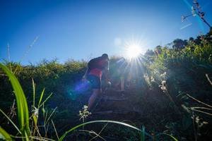 BIB: 
                            <button type="button" onclick="openModal(19372231)" class="btn btn-primary btn-sm float-right btn-popup" data-toggle="modal" data-target=".modal-high-quality">
                        <i class="fas fa-shopping-cart"></i> Add to Cart
                    </button>
                                            <button type="button" onclick="isThisMe(19372231, true)" class="btn btn-success btn-sm float-right btn-popup btn-isme hidden" data-toggle="tooltip" data-placement="bottom" title="นี่คือรูปของคุณใช่ไหม คลิกที่นี่เพื่อเอาเข้าอัลบั้ม">
                        <i class="fas fa-plus"></i> Add to album
                    </button>
                    <button type="button" onclick="isThisMe(19372231, false)" class="btn btn-warning btn-sm float-right btn-popup btn-isnotme hidden">
                        <i class="fas fa-ban"></i> Remove from album
                    </button>