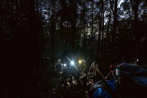 BIB: 
                            <button type="button" onclick="openModal(19371939)" class="btn btn-primary btn-sm float-right btn-popup" data-toggle="modal" data-target=".modal-high-quality">
                        <i class="fas fa-shopping-cart"></i> Add to Cart
                    </button>
                                            <button type="button" onclick="isThisMe(19371939, true)" class="btn btn-success btn-sm float-right btn-popup btn-isme hidden" data-toggle="tooltip" data-placement="bottom" title="นี่คือรูปของคุณใช่ไหม คลิกที่นี่เพื่อเอาเข้าอัลบั้ม">
                        <i class="fas fa-plus"></i> Add to album
                    </button>
                    <button type="button" onclick="isThisMe(19371939, false)" class="btn btn-warning btn-sm float-right btn-popup btn-isnotme hidden">
                        <i class="fas fa-ban"></i> Remove from album
                    </button>