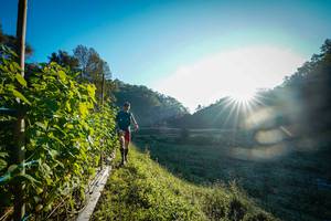 BIB: 
                            <button type="button" onclick="openModal(19372168)" class="btn btn-primary btn-sm float-right btn-popup" data-toggle="modal" data-target=".modal-high-quality">
                        <i class="fas fa-shopping-cart"></i> Add to Cart
                    </button>
                                            <button type="button" onclick="isThisMe(19372168, true)" class="btn btn-success btn-sm float-right btn-popup btn-isme hidden" data-toggle="tooltip" data-placement="bottom" title="นี่คือรูปของคุณใช่ไหม คลิกที่นี่เพื่อเอาเข้าอัลบั้ม">
                        <i class="fas fa-plus"></i> Add to album
                    </button>
                    <button type="button" onclick="isThisMe(19372168, false)" class="btn btn-warning btn-sm float-right btn-popup btn-isnotme hidden">
                        <i class="fas fa-ban"></i> Remove from album
                    </button>