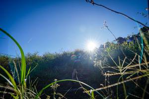 BIB: 
                            <button type="button" onclick="openModal(19372227)" class="btn btn-primary btn-sm float-right btn-popup" data-toggle="modal" data-target=".modal-high-quality">
                        <i class="fas fa-shopping-cart"></i> Add to Cart
                    </button>
                                            <button type="button" onclick="isThisMe(19372227, true)" class="btn btn-success btn-sm float-right btn-popup btn-isme hidden" data-toggle="tooltip" data-placement="bottom" title="นี่คือรูปของคุณใช่ไหม คลิกที่นี่เพื่อเอาเข้าอัลบั้ม">
                        <i class="fas fa-plus"></i> Add to album
                    </button>
                    <button type="button" onclick="isThisMe(19372227, false)" class="btn btn-warning btn-sm float-right btn-popup btn-isnotme hidden">
                        <i class="fas fa-ban"></i> Remove from album
                    </button>