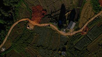 BIB: 
                            <button type="button" onclick="openModal(19372078)" class="btn btn-primary btn-sm float-right btn-popup" data-toggle="modal" data-target=".modal-high-quality">
                        <i class="fas fa-shopping-cart"></i> Add to Cart
                    </button>
                                            <button type="button" onclick="isThisMe(19372078, true)" class="btn btn-success btn-sm float-right btn-popup btn-isme hidden" data-toggle="tooltip" data-placement="bottom" title="นี่คือรูปของคุณใช่ไหม คลิกที่นี่เพื่อเอาเข้าอัลบั้ม">
                        <i class="fas fa-plus"></i> Add to album
                    </button>
                    <button type="button" onclick="isThisMe(19372078, false)" class="btn btn-warning btn-sm float-right btn-popup btn-isnotme hidden">
                        <i class="fas fa-ban"></i> Remove from album
                    </button>