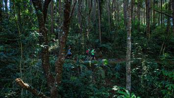 BIB: 
                            <button type="button" onclick="openModal(19372135)" class="btn btn-primary btn-sm float-right btn-popup" data-toggle="modal" data-target=".modal-high-quality">
                        <i class="fas fa-shopping-cart"></i> Add to Cart
                    </button>
                                            <button type="button" onclick="isThisMe(19372135, true)" class="btn btn-success btn-sm float-right btn-popup btn-isme hidden" data-toggle="tooltip" data-placement="bottom" title="นี่คือรูปของคุณใช่ไหม คลิกที่นี่เพื่อเอาเข้าอัลบั้ม">
                        <i class="fas fa-plus"></i> Add to album
                    </button>
                    <button type="button" onclick="isThisMe(19372135, false)" class="btn btn-warning btn-sm float-right btn-popup btn-isnotme hidden">
                        <i class="fas fa-ban"></i> Remove from album
                    </button>