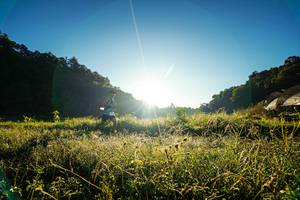 BIB: 
                            <button type="button" onclick="openModal(19372180)" class="btn btn-primary btn-sm float-right btn-popup" data-toggle="modal" data-target=".modal-high-quality">
                        <i class="fas fa-shopping-cart"></i> Add to Cart
                    </button>
                                            <button type="button" onclick="isThisMe(19372180, true)" class="btn btn-success btn-sm float-right btn-popup btn-isme hidden" data-toggle="tooltip" data-placement="bottom" title="นี่คือรูปของคุณใช่ไหม คลิกที่นี่เพื่อเอาเข้าอัลบั้ม">
                        <i class="fas fa-plus"></i> Add to album
                    </button>
                    <button type="button" onclick="isThisMe(19372180, false)" class="btn btn-warning btn-sm float-right btn-popup btn-isnotme hidden">
                        <i class="fas fa-ban"></i> Remove from album
                    </button>