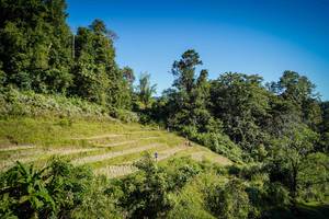 BIB: 
                            <button type="button" onclick="openModal(19372226)" class="btn btn-primary btn-sm float-right btn-popup" data-toggle="modal" data-target=".modal-high-quality">
                        <i class="fas fa-shopping-cart"></i> Add to Cart
                    </button>
                                            <button type="button" onclick="isThisMe(19372226, true)" class="btn btn-success btn-sm float-right btn-popup btn-isme hidden" data-toggle="tooltip" data-placement="bottom" title="นี่คือรูปของคุณใช่ไหม คลิกที่นี่เพื่อเอาเข้าอัลบั้ม">
                        <i class="fas fa-plus"></i> Add to album
                    </button>
                    <button type="button" onclick="isThisMe(19372226, false)" class="btn btn-warning btn-sm float-right btn-popup btn-isnotme hidden">
                        <i class="fas fa-ban"></i> Remove from album
                    </button>