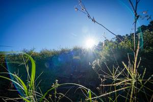 BIB: 
                            <button type="button" onclick="openModal(19372224)" class="btn btn-primary btn-sm float-right btn-popup" data-toggle="modal" data-target=".modal-high-quality">
                        <i class="fas fa-shopping-cart"></i> Add to Cart
                    </button>
                                            <button type="button" onclick="isThisMe(19372224, true)" class="btn btn-success btn-sm float-right btn-popup btn-isme hidden" data-toggle="tooltip" data-placement="bottom" title="นี่คือรูปของคุณใช่ไหม คลิกที่นี่เพื่อเอาเข้าอัลบั้ม">
                        <i class="fas fa-plus"></i> Add to album
                    </button>
                    <button type="button" onclick="isThisMe(19372224, false)" class="btn btn-warning btn-sm float-right btn-popup btn-isnotme hidden">
                        <i class="fas fa-ban"></i> Remove from album
                    </button>