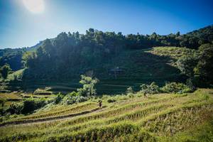 BIB: 
                            <button type="button" onclick="openModal(19372215)" class="btn btn-primary btn-sm float-right btn-popup" data-toggle="modal" data-target=".modal-high-quality">
                        <i class="fas fa-shopping-cart"></i> Add to Cart
                    </button>
                                            <button type="button" onclick="isThisMe(19372215, true)" class="btn btn-success btn-sm float-right btn-popup btn-isme hidden" data-toggle="tooltip" data-placement="bottom" title="นี่คือรูปของคุณใช่ไหม คลิกที่นี่เพื่อเอาเข้าอัลบั้ม">
                        <i class="fas fa-plus"></i> Add to album
                    </button>
                    <button type="button" onclick="isThisMe(19372215, false)" class="btn btn-warning btn-sm float-right btn-popup btn-isnotme hidden">
                        <i class="fas fa-ban"></i> Remove from album
                    </button>