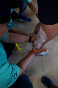 BIB: 
                            <button type="button" onclick="openModal(19372714)" class="btn btn-primary btn-sm float-right btn-popup" data-toggle="modal" data-target=".modal-high-quality">
                        <i class="fas fa-shopping-cart"></i> Add to Cart
                    </button>
                                            <button type="button" onclick="isThisMe(19372714, true)" class="btn btn-success btn-sm float-right btn-popup btn-isme hidden" data-toggle="tooltip" data-placement="bottom" title="นี่คือรูปของคุณใช่ไหม คลิกที่นี่เพื่อเอาเข้าอัลบั้ม">
                        <i class="fas fa-plus"></i> Add to album
                    </button>
                    <button type="button" onclick="isThisMe(19372714, false)" class="btn btn-warning btn-sm float-right btn-popup btn-isnotme hidden">
                        <i class="fas fa-ban"></i> Remove from album
                    </button>