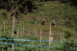 BIB: 327
                            <button type="button" onclick="openModal(19371957)" class="btn btn-primary btn-sm float-right btn-popup" data-toggle="modal" data-target=".modal-high-quality">
                        <i class="fas fa-shopping-cart"></i> Add to Cart
                    </button>
                                            <button type="button" onclick="isThisMe(19371957, true)" class="btn btn-success btn-sm float-right btn-popup btn-isme hidden" data-toggle="tooltip" data-placement="bottom" title="นี่คือรูปของคุณใช่ไหม คลิกที่นี่เพื่อเอาเข้าอัลบั้ม">
                        <i class="fas fa-plus"></i> Add to album
                    </button>
                    <button type="button" onclick="isThisMe(19371957, false)" class="btn btn-warning btn-sm float-right btn-popup btn-isnotme hidden">
                        <i class="fas fa-ban"></i> Remove from album
                    </button>