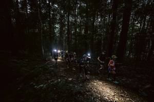 BIB: 
                            <button type="button" onclick="openModal(19371940)" class="btn btn-primary btn-sm float-right btn-popup" data-toggle="modal" data-target=".modal-high-quality">
                        <i class="fas fa-shopping-cart"></i> Add to Cart
                    </button>
                                            <button type="button" onclick="isThisMe(19371940, true)" class="btn btn-success btn-sm float-right btn-popup btn-isme hidden" data-toggle="tooltip" data-placement="bottom" title="นี่คือรูปของคุณใช่ไหม คลิกที่นี่เพื่อเอาเข้าอัลบั้ม">
                        <i class="fas fa-plus"></i> Add to album
                    </button>
                    <button type="button" onclick="isThisMe(19371940, false)" class="btn btn-warning btn-sm float-right btn-popup btn-isnotme hidden">
                        <i class="fas fa-ban"></i> Remove from album
                    </button>