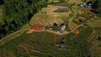 BIB: 
                            <button type="button" onclick="openModal(19372076)" class="btn btn-primary btn-sm float-right btn-popup" data-toggle="modal" data-target=".modal-high-quality">
                        <i class="fas fa-shopping-cart"></i> Add to Cart
                    </button>
                                            <button type="button" onclick="isThisMe(19372076, true)" class="btn btn-success btn-sm float-right btn-popup btn-isme hidden" data-toggle="tooltip" data-placement="bottom" title="นี่คือรูปของคุณใช่ไหม คลิกที่นี่เพื่อเอาเข้าอัลบั้ม">
                        <i class="fas fa-plus"></i> Add to album
                    </button>
                    <button type="button" onclick="isThisMe(19372076, false)" class="btn btn-warning btn-sm float-right btn-popup btn-isnotme hidden">
                        <i class="fas fa-ban"></i> Remove from album
                    </button>