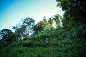 BIB: 
                            <button type="button" onclick="openModal(19372187)" class="btn btn-primary btn-sm float-right btn-popup" data-toggle="modal" data-target=".modal-high-quality">
                        <i class="fas fa-shopping-cart"></i> Add to Cart
                    </button>
                                            <button type="button" onclick="isThisMe(19372187, true)" class="btn btn-success btn-sm float-right btn-popup btn-isme hidden" data-toggle="tooltip" data-placement="bottom" title="นี่คือรูปของคุณใช่ไหม คลิกที่นี่เพื่อเอาเข้าอัลบั้ม">
                        <i class="fas fa-plus"></i> Add to album
                    </button>
                    <button type="button" onclick="isThisMe(19372187, false)" class="btn btn-warning btn-sm float-right btn-popup btn-isnotme hidden">
                        <i class="fas fa-ban"></i> Remove from album
                    </button>