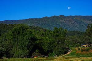 BIB: 
                            <button type="button" onclick="openModal(19372365)" class="btn btn-primary btn-sm float-right btn-popup" data-toggle="modal" data-target=".modal-high-quality">
                        <i class="fas fa-shopping-cart"></i> Add to Cart
                    </button>
                                            <button type="button" onclick="isThisMe(19372365, true)" class="btn btn-success btn-sm float-right btn-popup btn-isme hidden" data-toggle="tooltip" data-placement="bottom" title="นี่คือรูปของคุณใช่ไหม คลิกที่นี่เพื่อเอาเข้าอัลบั้ม">
                        <i class="fas fa-plus"></i> Add to album
                    </button>
                    <button type="button" onclick="isThisMe(19372365, false)" class="btn btn-warning btn-sm float-right btn-popup btn-isnotme hidden">
                        <i class="fas fa-ban"></i> Remove from album
                    </button>