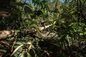 BIB: 
                            <button type="button" onclick="openModal(19372030)" class="btn btn-primary btn-sm float-right btn-popup" data-toggle="modal" data-target=".modal-high-quality">
                        <i class="fas fa-shopping-cart"></i> Add to Cart
                    </button>
                                            <button type="button" onclick="isThisMe(19372030, true)" class="btn btn-success btn-sm float-right btn-popup btn-isme hidden" data-toggle="tooltip" data-placement="bottom" title="นี่คือรูปของคุณใช่ไหม คลิกที่นี่เพื่อเอาเข้าอัลบั้ม">
                        <i class="fas fa-plus"></i> Add to album
                    </button>
                    <button type="button" onclick="isThisMe(19372030, false)" class="btn btn-warning btn-sm float-right btn-popup btn-isnotme hidden">
                        <i class="fas fa-ban"></i> Remove from album
                    </button>