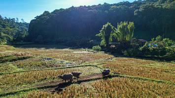 BIB: 
                            <button type="button" onclick="openModal(19372113)" class="btn btn-primary btn-sm float-right btn-popup" data-toggle="modal" data-target=".modal-high-quality">
                        <i class="fas fa-shopping-cart"></i> Add to Cart
                    </button>
                                            <button type="button" onclick="isThisMe(19372113, true)" class="btn btn-success btn-sm float-right btn-popup btn-isme hidden" data-toggle="tooltip" data-placement="bottom" title="นี่คือรูปของคุณใช่ไหม คลิกที่นี่เพื่อเอาเข้าอัลบั้ม">
                        <i class="fas fa-plus"></i> Add to album
                    </button>
                    <button type="button" onclick="isThisMe(19372113, false)" class="btn btn-warning btn-sm float-right btn-popup btn-isnotme hidden">
                        <i class="fas fa-ban"></i> Remove from album
                    </button>