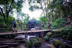 BIB: 140
                            <button type="button" onclick="openModal(19372195)" class="btn btn-primary btn-sm float-right btn-popup" data-toggle="modal" data-target=".modal-high-quality">
                        <i class="fas fa-shopping-cart"></i> Add to Cart
                    </button>
                                            <button type="button" onclick="isThisMe(19372195, true)" class="btn btn-success btn-sm float-right btn-popup btn-isme hidden" data-toggle="tooltip" data-placement="bottom" title="นี่คือรูปของคุณใช่ไหม คลิกที่นี่เพื่อเอาเข้าอัลบั้ม">
                        <i class="fas fa-plus"></i> Add to album
                    </button>
                    <button type="button" onclick="isThisMe(19372195, false)" class="btn btn-warning btn-sm float-right btn-popup btn-isnotme hidden">
                        <i class="fas fa-ban"></i> Remove from album
                    </button>