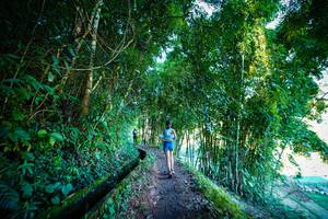 BIB: 
                            <button type="button" onclick="openModal(19372189)" class="btn btn-primary btn-sm float-right btn-popup" data-toggle="modal" data-target=".modal-high-quality">
                        <i class="fas fa-shopping-cart"></i> Add to Cart
                    </button>
                                            <button type="button" onclick="isThisMe(19372189, true)" class="btn btn-success btn-sm float-right btn-popup btn-isme hidden" data-toggle="tooltip" data-placement="bottom" title="นี่คือรูปของคุณใช่ไหม คลิกที่นี่เพื่อเอาเข้าอัลบั้ม">
                        <i class="fas fa-plus"></i> Add to album
                    </button>
                    <button type="button" onclick="isThisMe(19372189, false)" class="btn btn-warning btn-sm float-right btn-popup btn-isnotme hidden">
                        <i class="fas fa-ban"></i> Remove from album
                    </button>